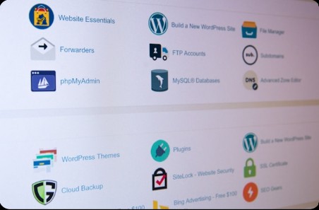 Full cPanel access  